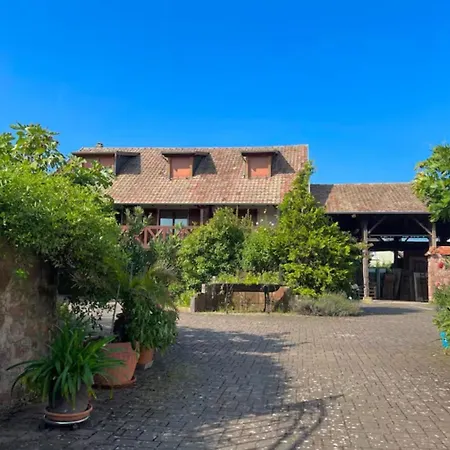 Alsappart, Duplex Climatise A 5 Min De Colmar * Sainte-Croix-en-Plaine