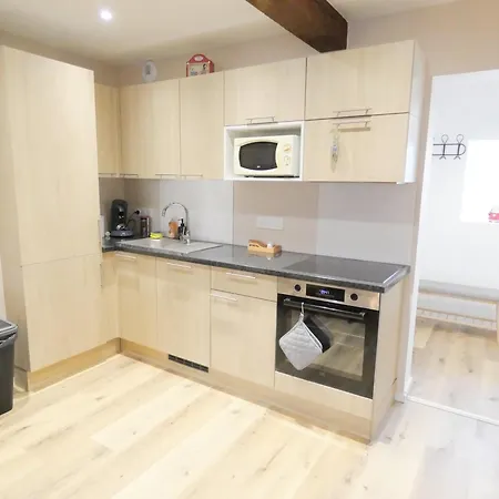 Alsappart, Duplex Climatise A 5 Min De Colmar Διαμέρισμα Sainte-Croix-en-Plaine