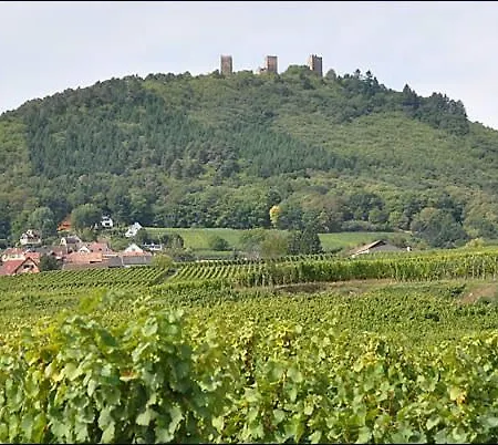 Alsappart, Duplex Climatise A 5 Min De Colmar