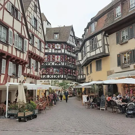 Alsappart, Duplex Climatise A 5 Min De Colmar Διαμέρισμα